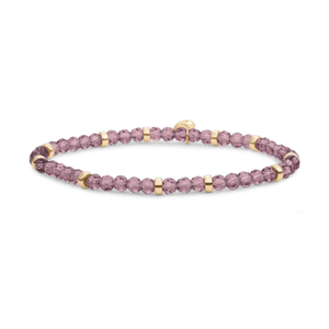 SPARKLING SPARKLING Armband | Roundel Interstellar Armband Aubergine Quartz | Verguld