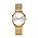 ZINZI ZINZI Horloge | Lady Crystal | GOUD | ZIW633M