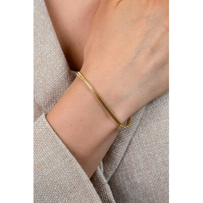 ZINZI ZINZI Armband | Platte Slangen Schakel | GOUD | ZIA2847G