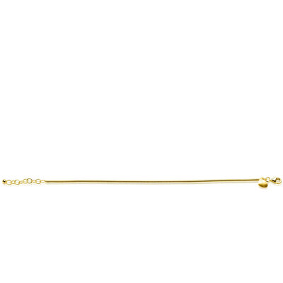 ZINZI ZINZI Armband | Rond Slangen Schakel | GOUD | ZIA2848G