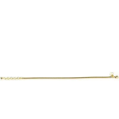 ZINZI ZINZI Armband | Rond Slangen Schakel | GOUD | ZIA2849G