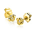 ZINZI ZINZI Oorbellen | Stekers Roosje Zirkonia | GOUD | ZIO2872Y