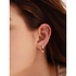 ANIA HAIE ANIA HAIE Earrings | Trio Sparkle Hoop Zirkonia | VERGULD