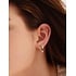 ANIA HAIE ANIA HAIE Earrings | Trio Sparkle Hoop Zirkonia | VERGULD