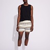 Won Hundred New Ike Short - Stripe Won Hundred New Ike Short - Stripe