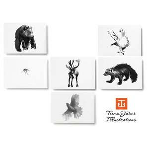  Teemu Järvi  Postcard set Artic Greetings A6