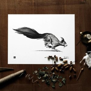  Teemu Järvi  Poster Squirrel 30x40cm