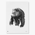  Teemu Järvi  Poster Gentle Bear 30x40cm