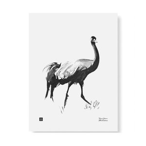  Teemu Järvi  Poster Common Crane 30x40cm