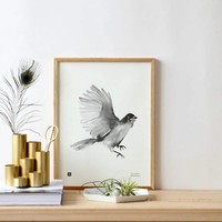  Teemu Järvi  Poster Siberian Jay 30x40cm