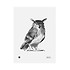 Teemu Järvi  Poster Eagle Owl – gedrukte inkt illustratie 30x40cm