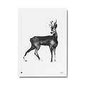  Teemu Järvi  Poster Roe Deer 30x40cm