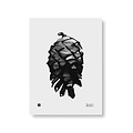  Teemu Järvi  Poster Pine Cone 30x40cm