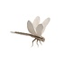 LOVI 3D kaart Dragonfly – Libelle naturel 10cm