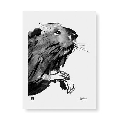 Teemu Järvi  Curious beaver poster - 30x40cm