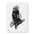  Teemu Järvi  EAGLE art print 50x70cm