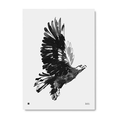 Teemu Järvi  EAGLE - adelaar-  art print poster 50x70cm