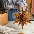 LOVI Decor Star Cinnamon 24cm