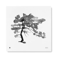  Teemu Järvi  PINE Tree art print 50x50cm