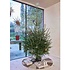 OYOY Living Design Kerstboomstandaard Ø42,5 x H16 cm