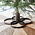 OYOY Living Design Kerstboomstandaard Ø42,5 x H16 cm