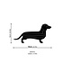 LOVI Teckel – Dachshund Grijs 12cm 3D - DIY