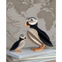 LOVI 3D Puffin Papegaaiduiker zwart orange 10cm - DIY