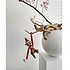 Kay Bojesen Monkey small  met Sweater in rood