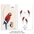 LOVI Parrot Red 34cm