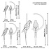 LOVI Parrot Blue 26 cm - 3d papegaai
