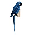 LOVI Parrot Blue diverse maten
