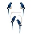 LOVI Parrot Blue 26 cm - 3d papegaai