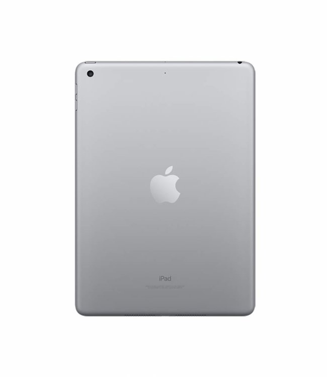 iPad Gray