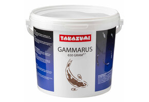 Takazumi Russische Gammarus