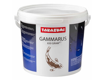 Takazumi Russische Gammarus