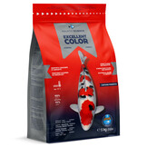 Aquatic Science Excellent Color Small