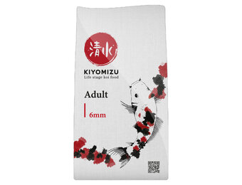 Kiyomizu Adult