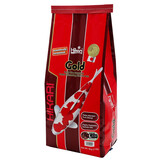 Hikari Gold Large