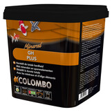 Colombo GH+