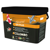 Colombo GH+