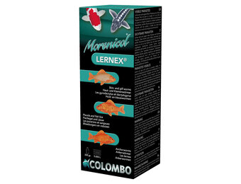 Colombo Morenicol Lernex