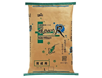 Saki Hikari R Balance Large