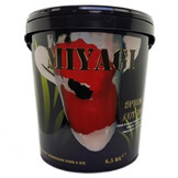 Miyagi Spring Autumn