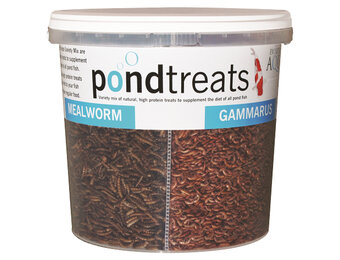 Evolution Aqua Pond Treat