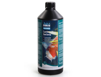 AquaForte Melkzuurbacteriën