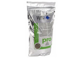 Primakoi Pro