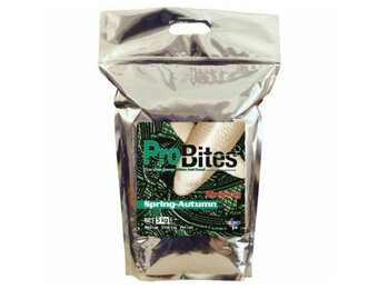 ProBites Spring-Autumn Sinking