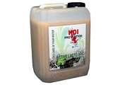 Koi Prevention Active Lacto Bac