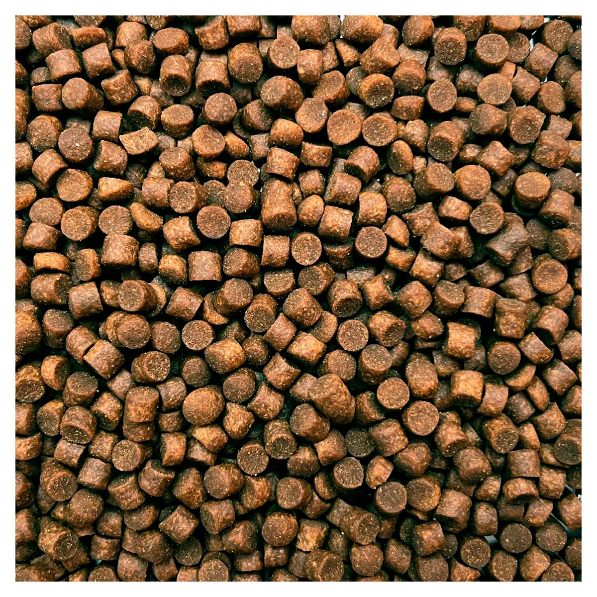 Marks Koivoer Champions Edition Multi Season 6 mm Zinkend