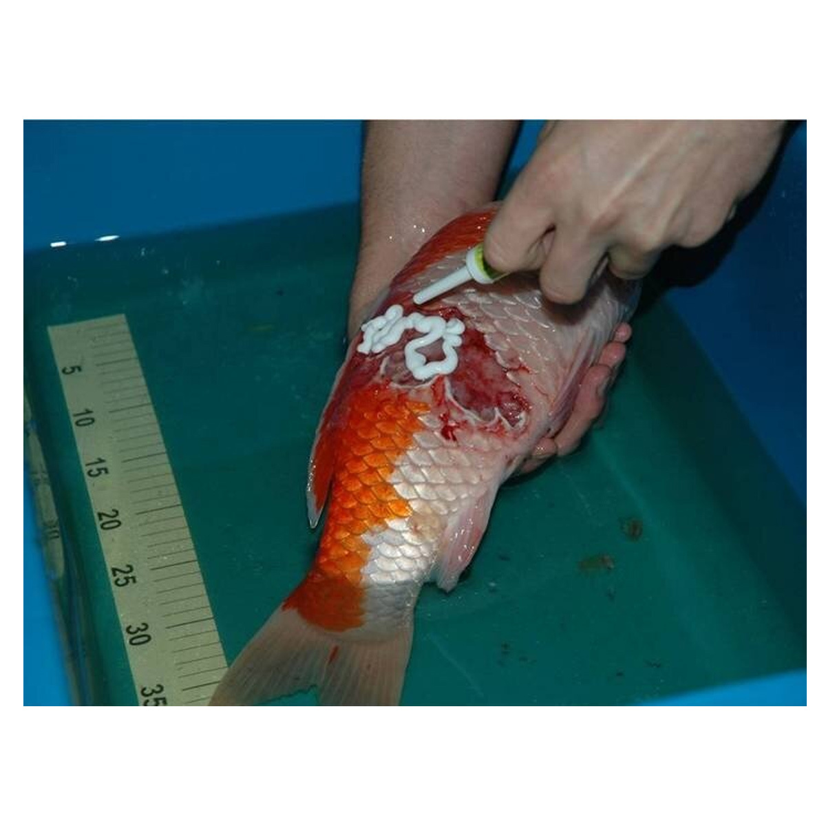 Fish Pharma Woundgel